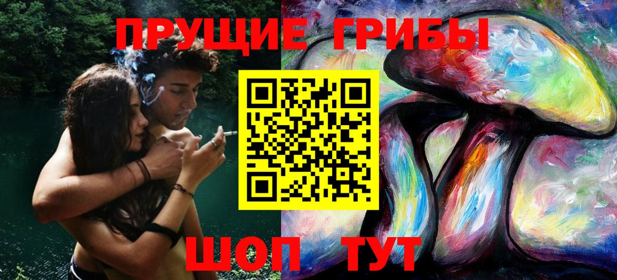 купить закладку  Псилоцибиновые грибы Psilocybe  Острогожск  Вход с VPN  Галлюциногенные грибы прущие грибы 
